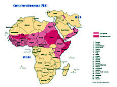 Verbreitungsgebiet von weiblicher Genitalverstümmelung (Grafik: Regina Maultzsch, TERRE DES FEMMES)