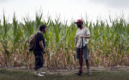 The Peanut Butter Falcon, Szenenbild: Totale: Zwei junge Männer, einer davon mit Down-Syndrom, stehen sich in einem Maisfeld gegenüber. (© TOBIS)