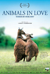 Animals in Love Plakat