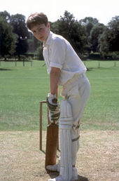 Cricket - Bild