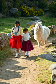Die Tochter der Sonne, Szennebild: Zwei indigene Mädchen, gekleidet in weiten roten Röcken und weißen Oberteilen, gehen Hand in Hand einen steinigen Weg entlang. Sie führen ein weißes Alpaka mit sich. (© EZEF)