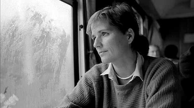 Winter adé, Szenenbild: Eine Frau um die 40 und mit kurzen Haaren schaut aus dem Zugfenster. (© ICESTORM ENTERTAINMENT)