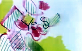 New Order: Blue Monday 88, Still aus dem Musikvideo: Abstrakte, gemalte Formen auf den in Schwarz das Wort &quot;Yes&quot; steht. (© New Order/Robert Breer, William Wegman)