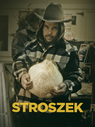 Stroszek (DVD-Cover © Studiocanal)