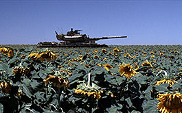 Lebanon, Szenenbild: Eine Totale von einem israelischen Panzer in einem Sonnenblumenfeld (© Wild Bunch)