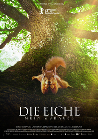 Die Eiche – Mein Zuhause, Filmplakat (© X Verleih)