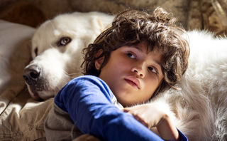 Belle &amp; Sebastian – Ein Sommer voller Abenteuer, Szenenbild: Nahaufnahme eines Jungen, der seinen Kopf auf einen weißen Hund liegen hat. (© Jerome Prebois)