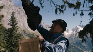 Schweizer Bergimker, Szenenbild More than Honey (Foto: Senator Film Verleih)