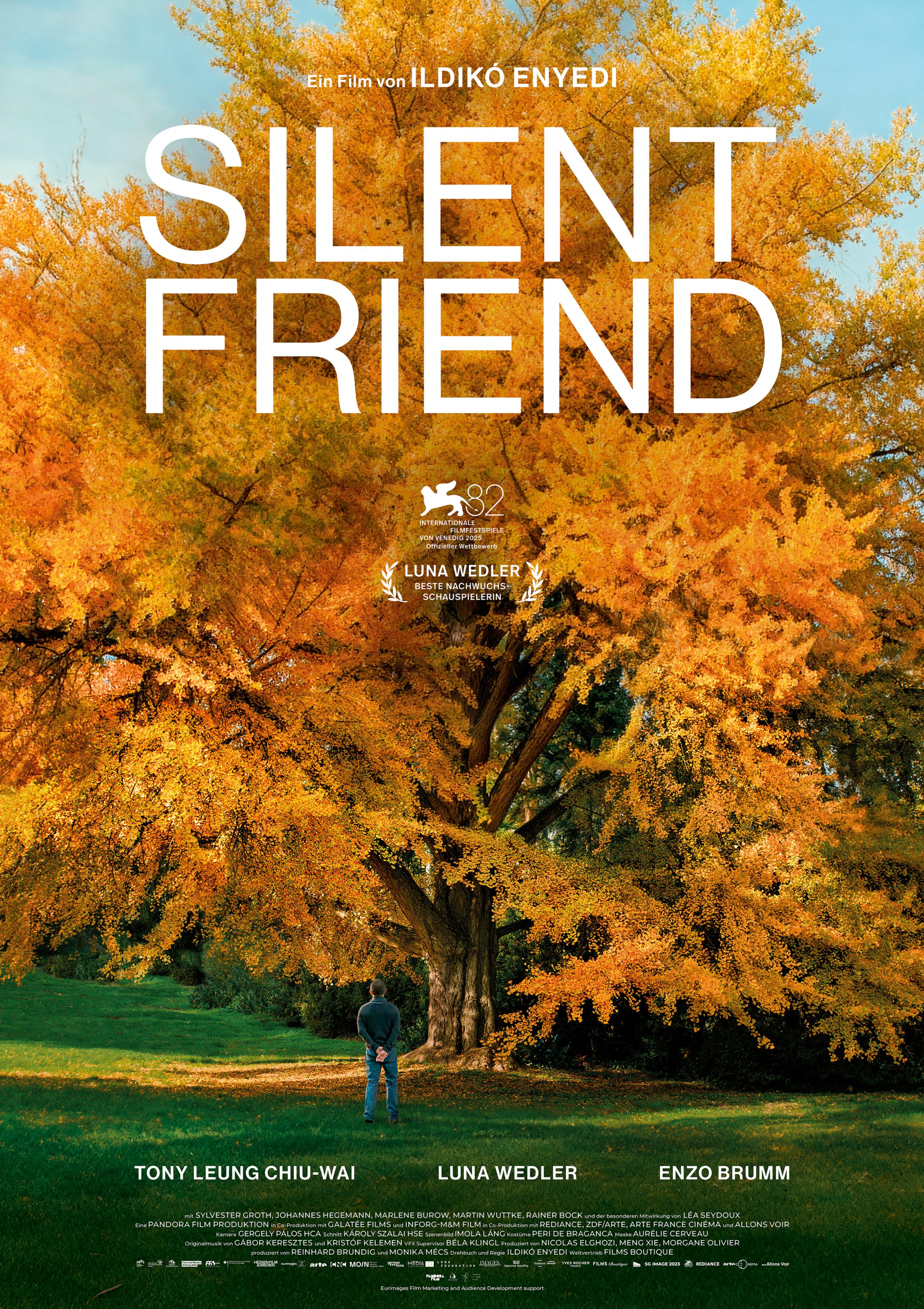 Filmplakat zu SILENT FRIEND: Bildfüllend ist ein großer Ginkgobaum mit gelbem Laub zu sehen. Davor steht ein Mann und schaut ihn an. Der Filmtitel ist in weißen Biuchstaben im oberen Bilddrittel platziert.