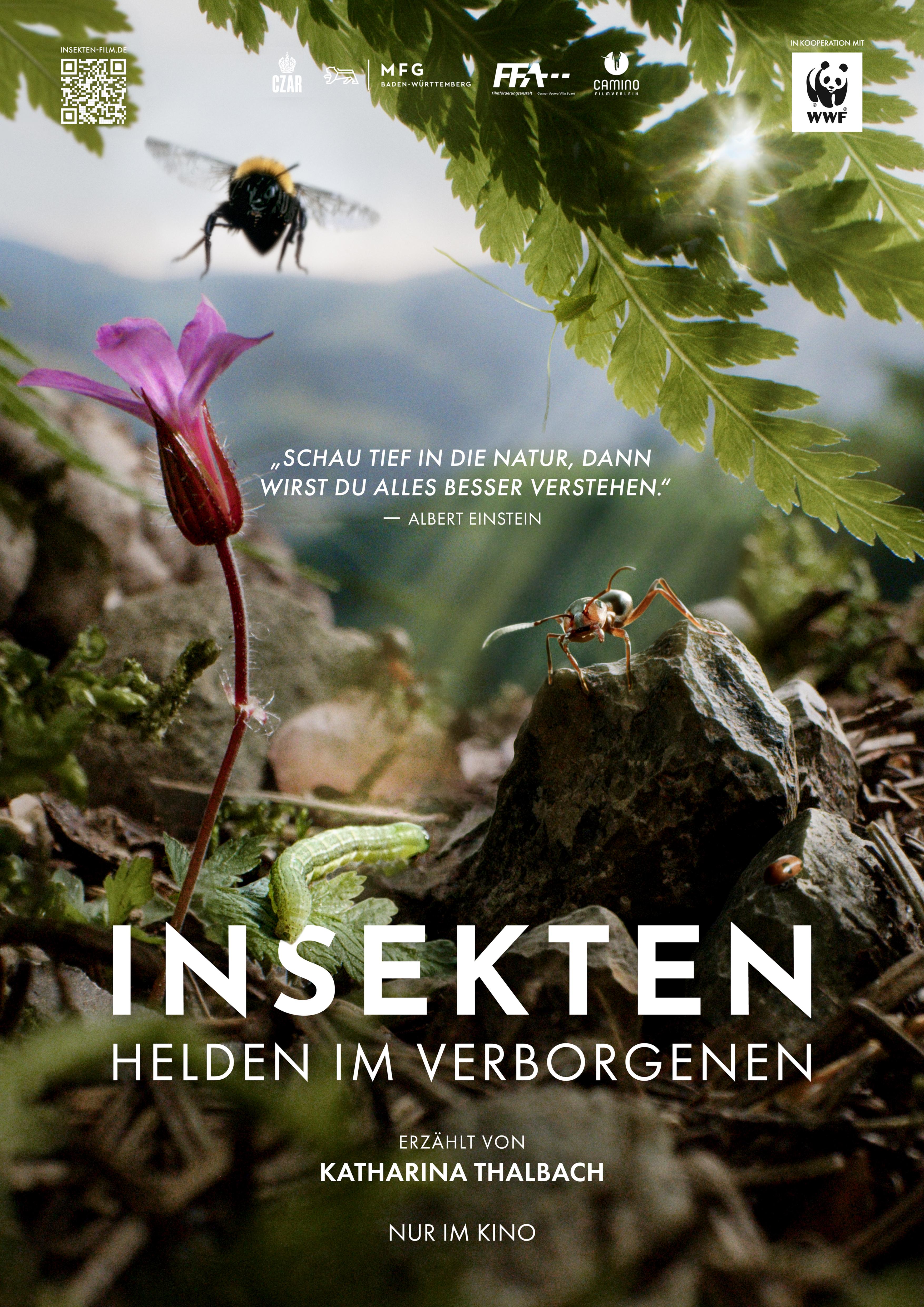 Filmplakat zum Dokumentarfilm INSEKTEN – HELDEN IM VERBORGENEN; Großaufnahme von einer Biene und einem Käfer.