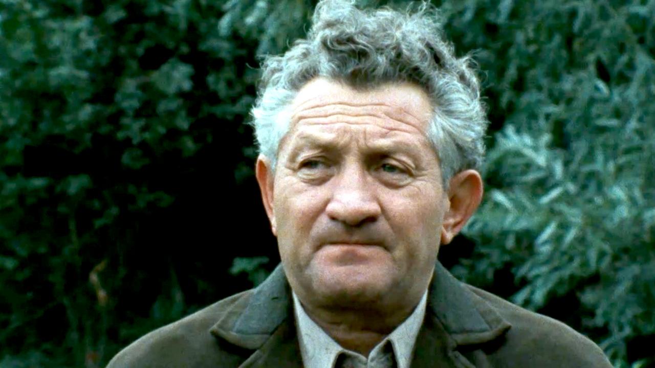 Porträt des polnischen Holocaust-Überlebenden Simon Srebnik