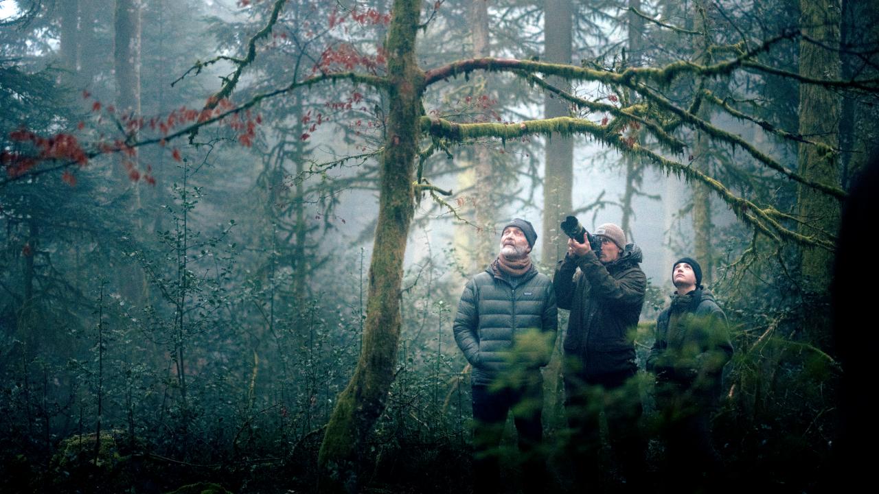 Still aus dem Dokumentarfilm DAS FLÜSTERN DER WÄLDER: Der Umweltschüzer Michel Munier steht mit seinem Sohn Vincent und seinem Enkel Simon Munier in einem herbstlich anmutenden Wald und schaur nach oben. Seim Sohn fotografiert.