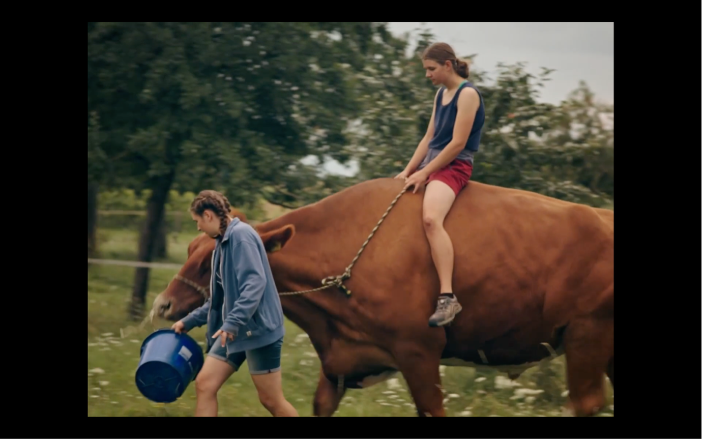 Screenshot aus MILCH INS FEUER: Katinka reitet auf einem braunen Stier. Im Hintergrund sind Bäume zu sehen.