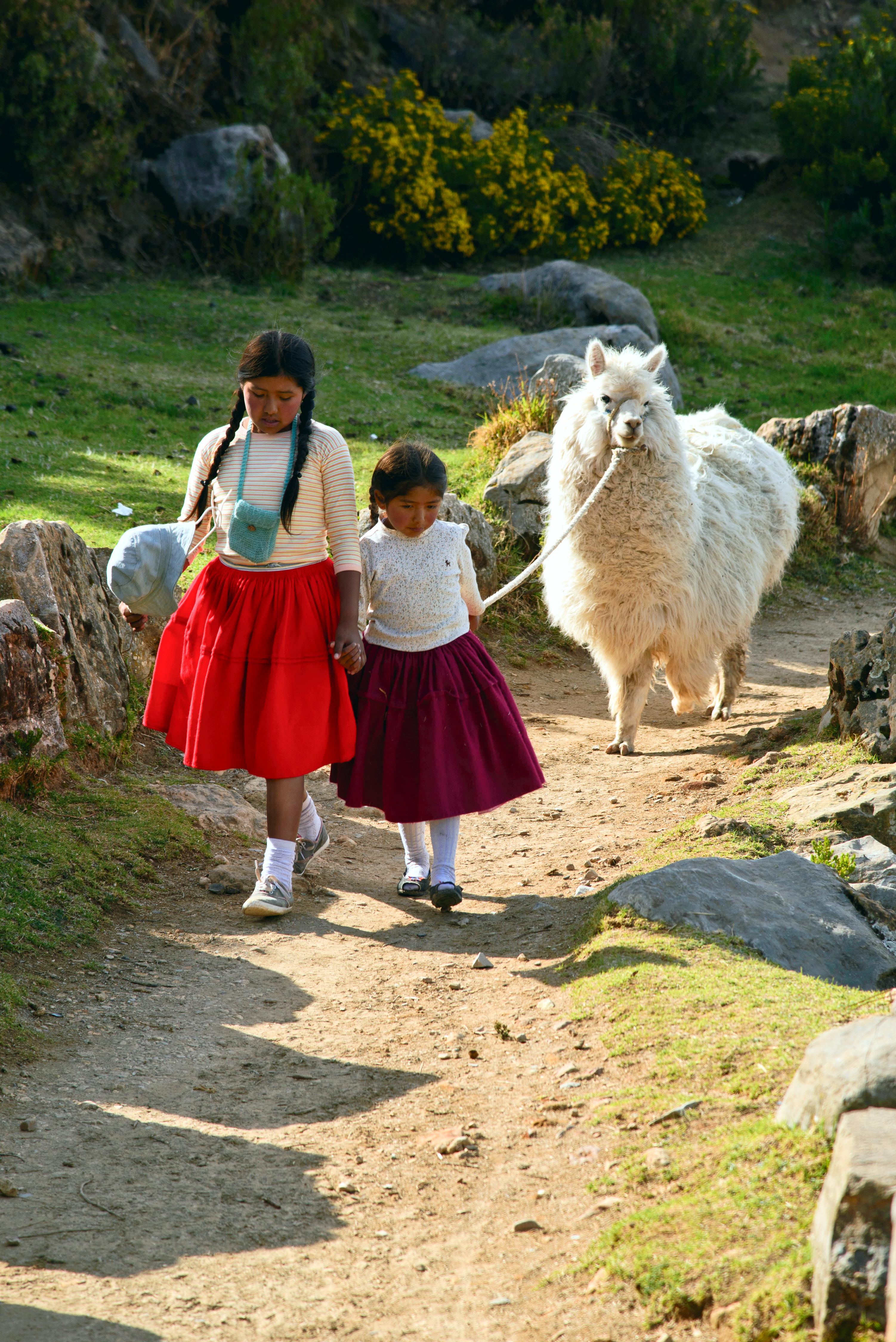 Die Tochter der Sonne, Szennebild: Zwei indigene Mädchen, gekleidet in weiten roten Röcken und weißen Oberteilen, gehen Hand in Hand einen steinigen Weg entlang. Sie führen ein weißes Alpaka mit sich.