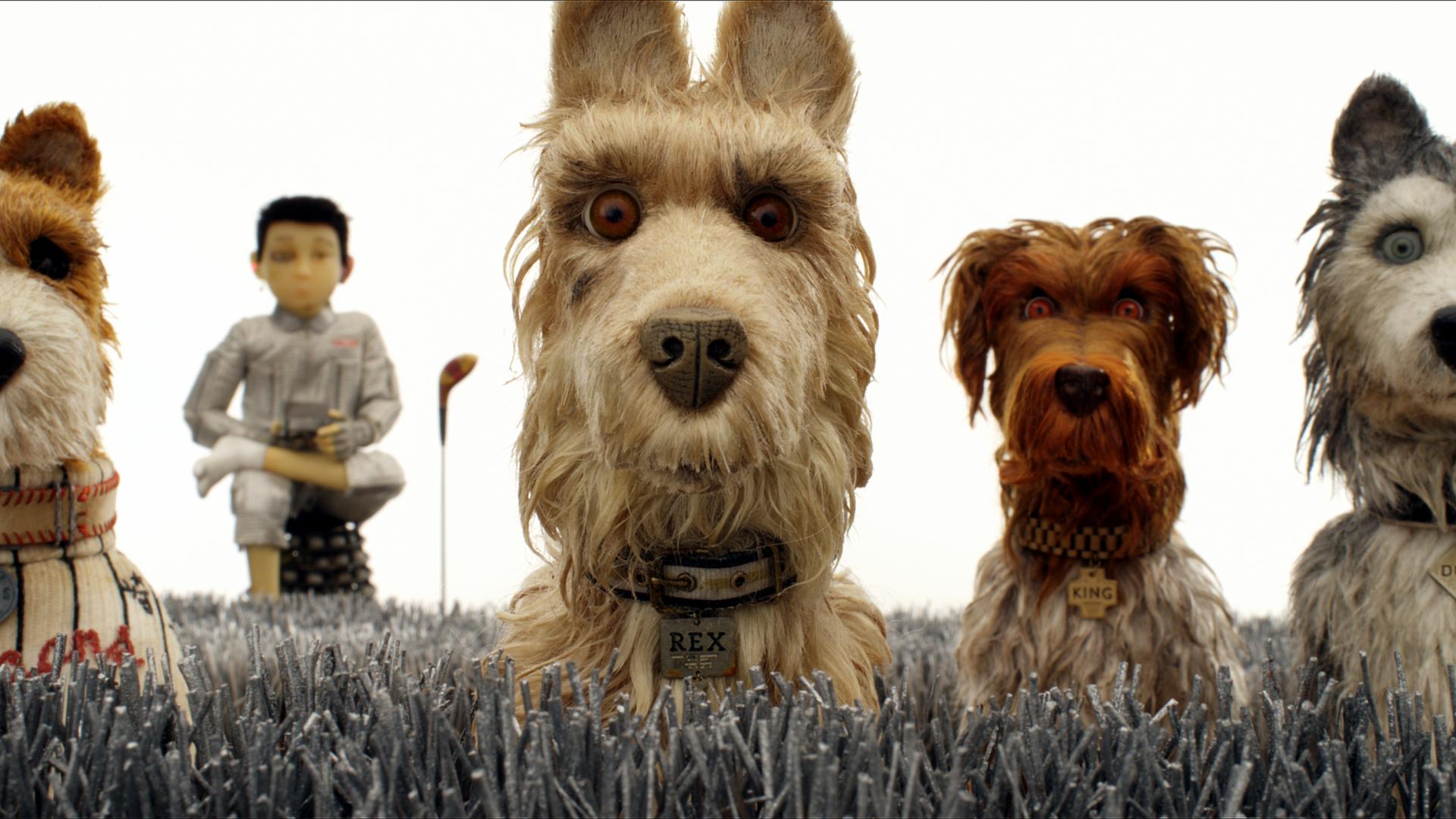 Les Films Incontournables De Wes Anderson - Le Vortex - Foto 3